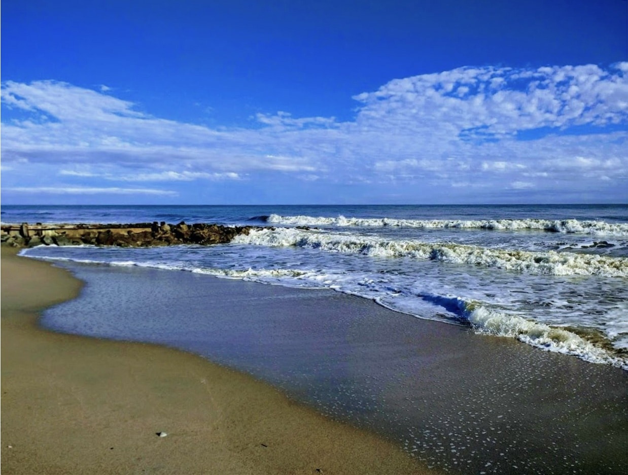 Edisto Beach State Park Black Folks Camp Too