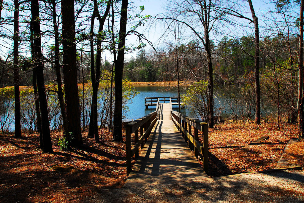 Escape to Serenity: Your Guide to South Carolina's Oconee State Park