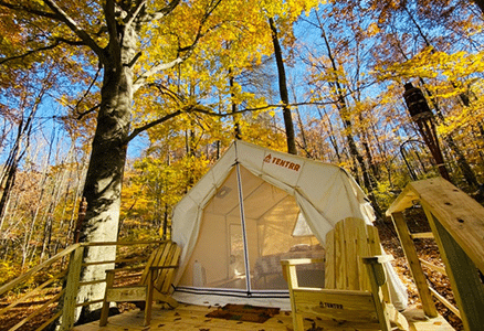 tentrr camping tent under fall trees